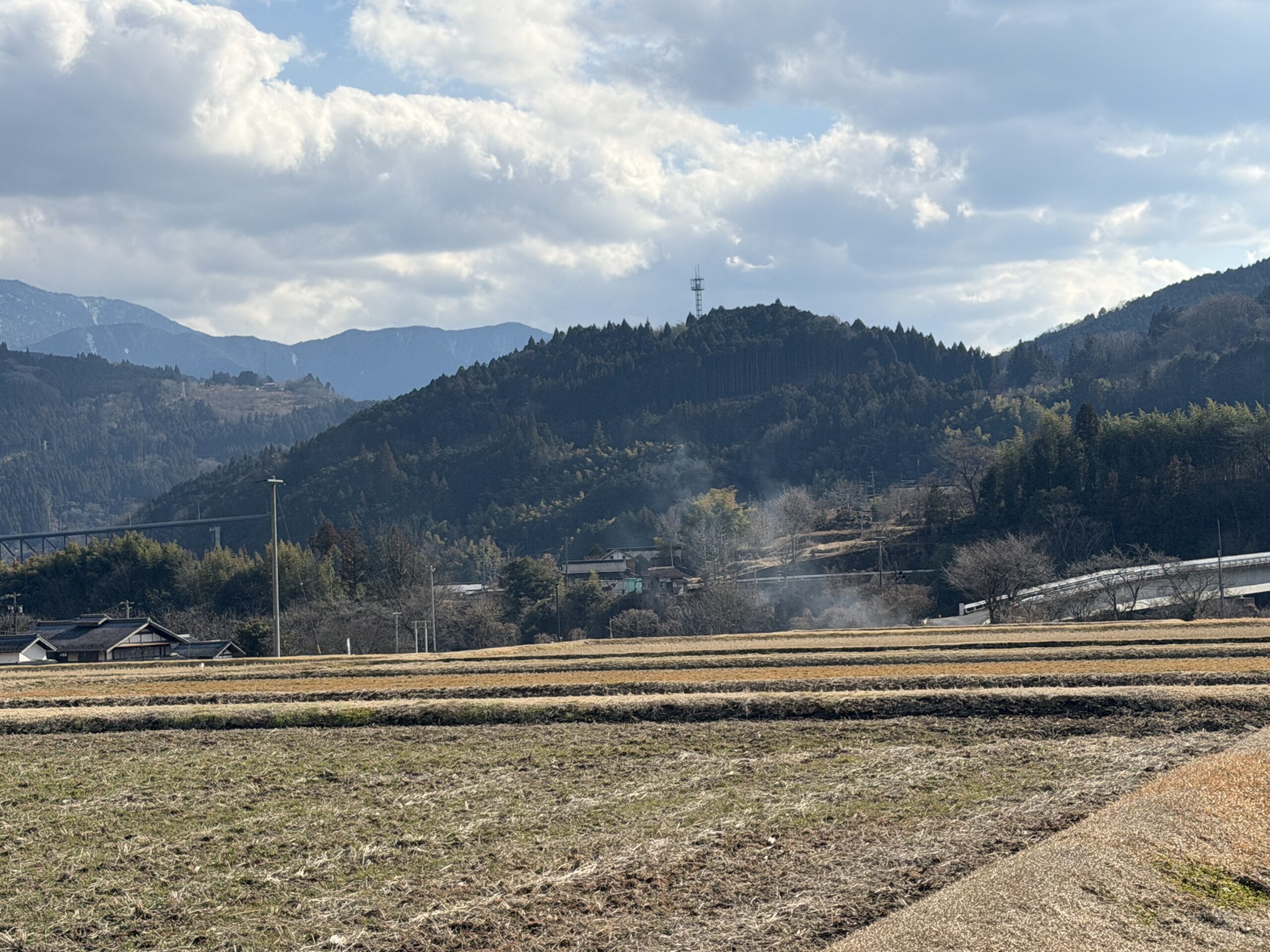 山口米守の田んぼと地域の景色